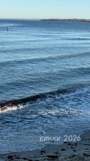 Januar 2026
Schรถne Momente in einer Zeit des Umbruchs.
Der Januar hielt von allem was bereit - Lachen, Stolz, Trรคnen, Spaร, Freundschaft, Kรคlte, Glรผck โฅ๏ธ
#dankbardafรผr #proudmom #selfcare #wachstum #verรคnderug